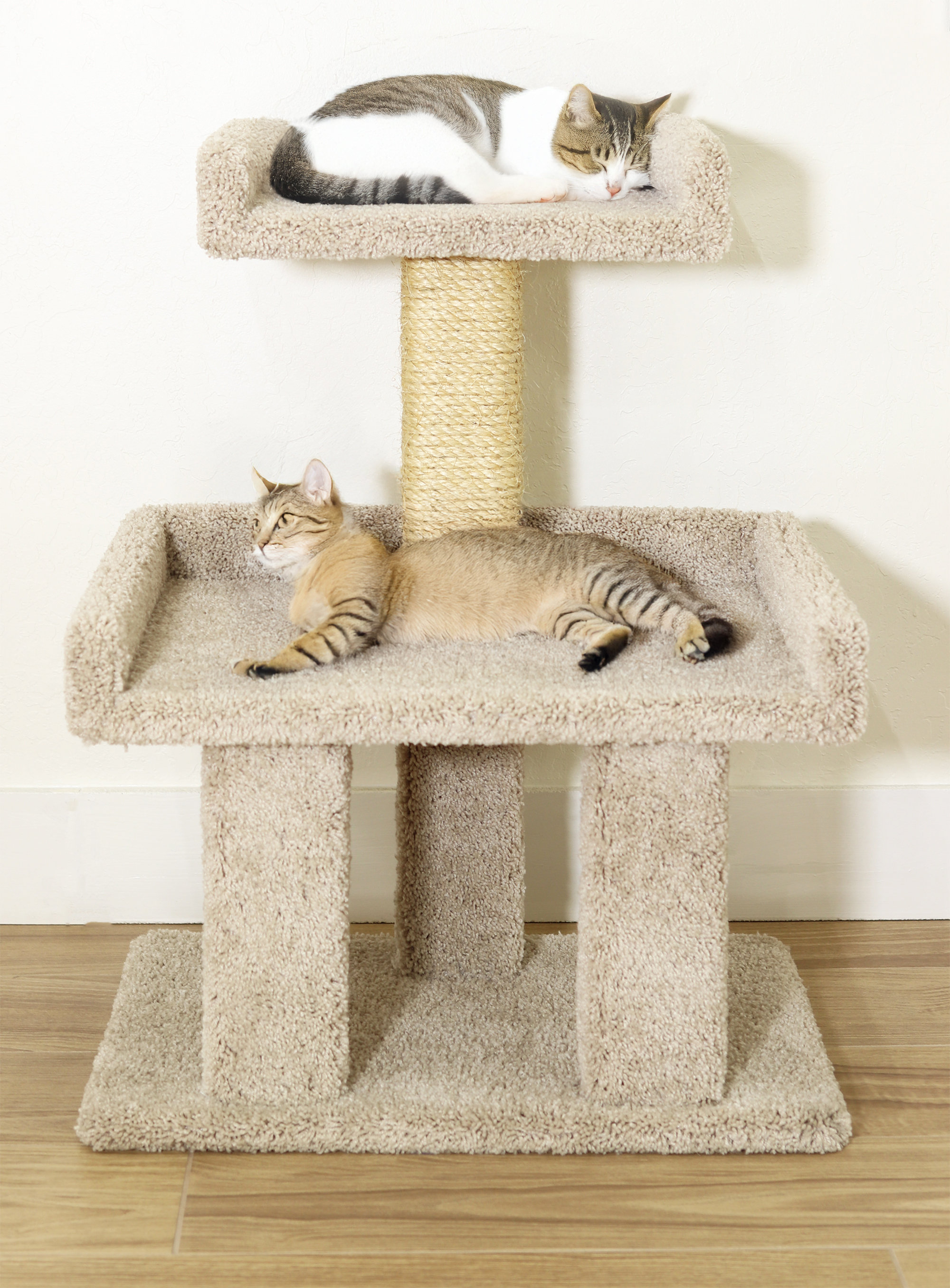 Prestige Cat Trees XL Cat Perch & Reviews | Wayfair